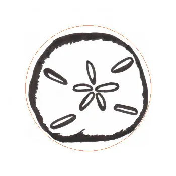 Cotton Trends Labels