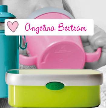 Name Lunch Box Stickers