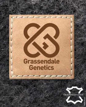 Custom Brand Labels